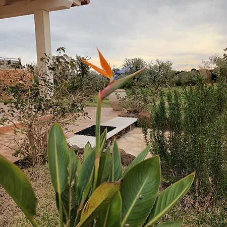 فيلة Aratha أروسييْ