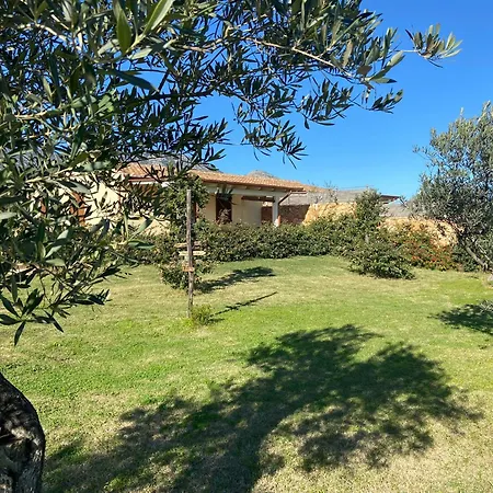 Aratha * أروسييْ